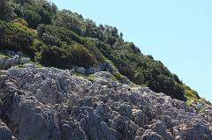 98-12 maggio 2012